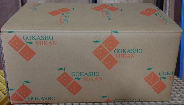 画像2: 【訳あり】レモン　6kg (2)