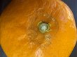 画像2: 【訳ありみかん】土実樹みかん（早生マルチ）　Lサイズ　7kg (2)