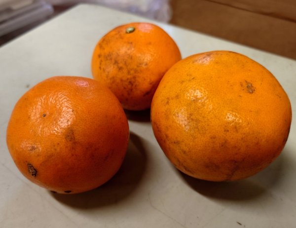 画像2: 【訳あり】明日蜜（あすみ）　4.5kg　お得用 (2)