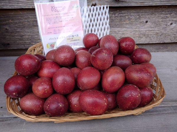 画像1: 【わけあり】伊勢志摩パッションフルーツ お得用（小玉）箱　約3kg (1)