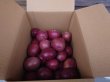 画像3: 【わけあり】伊勢志摩パッションフルーツ お得用（小玉）箱　約3kg (3)